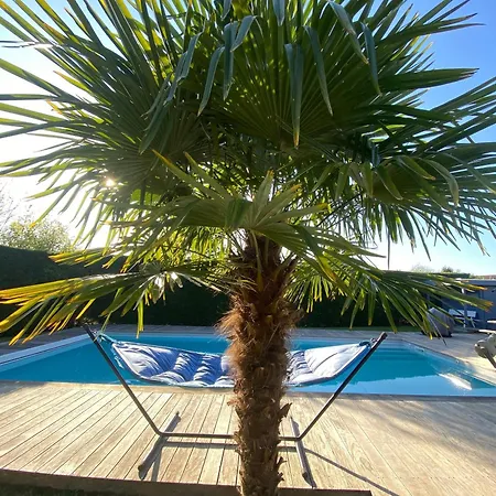 Coco - Prestations De Gamme